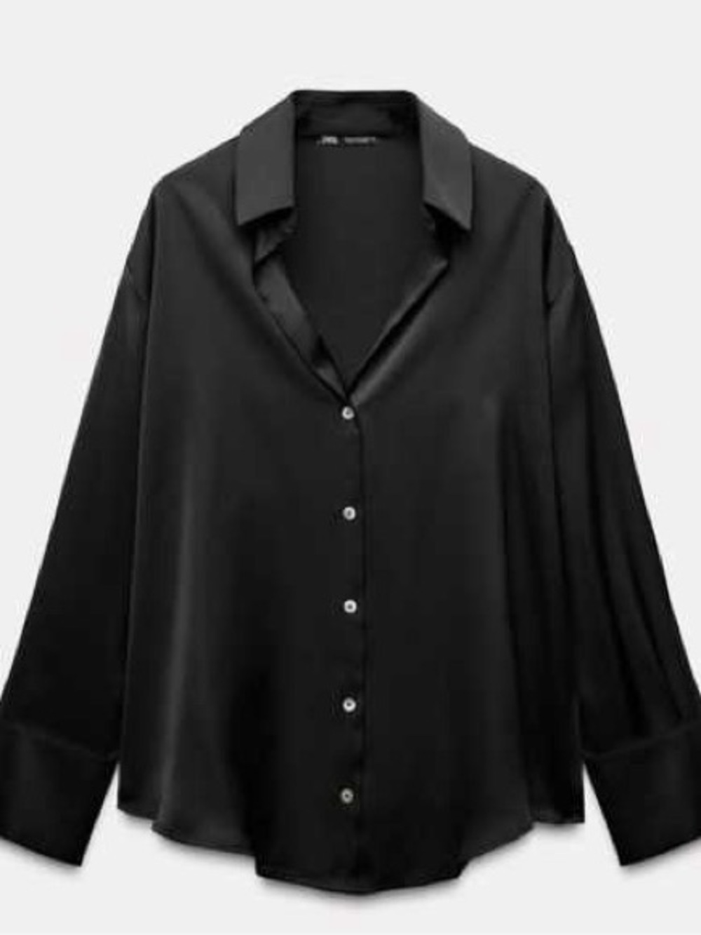 ZARA Sheer Button-Up Shirt